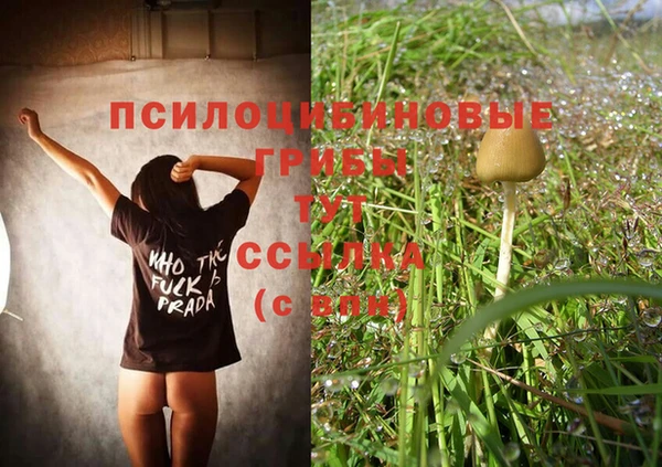 Альфа ПВП Заводоуковск