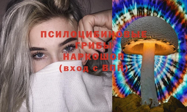 сатива Алзамай
